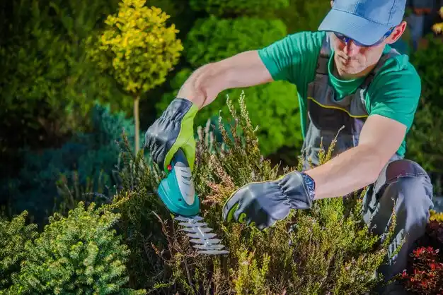 landscaping services Wheatley Heights